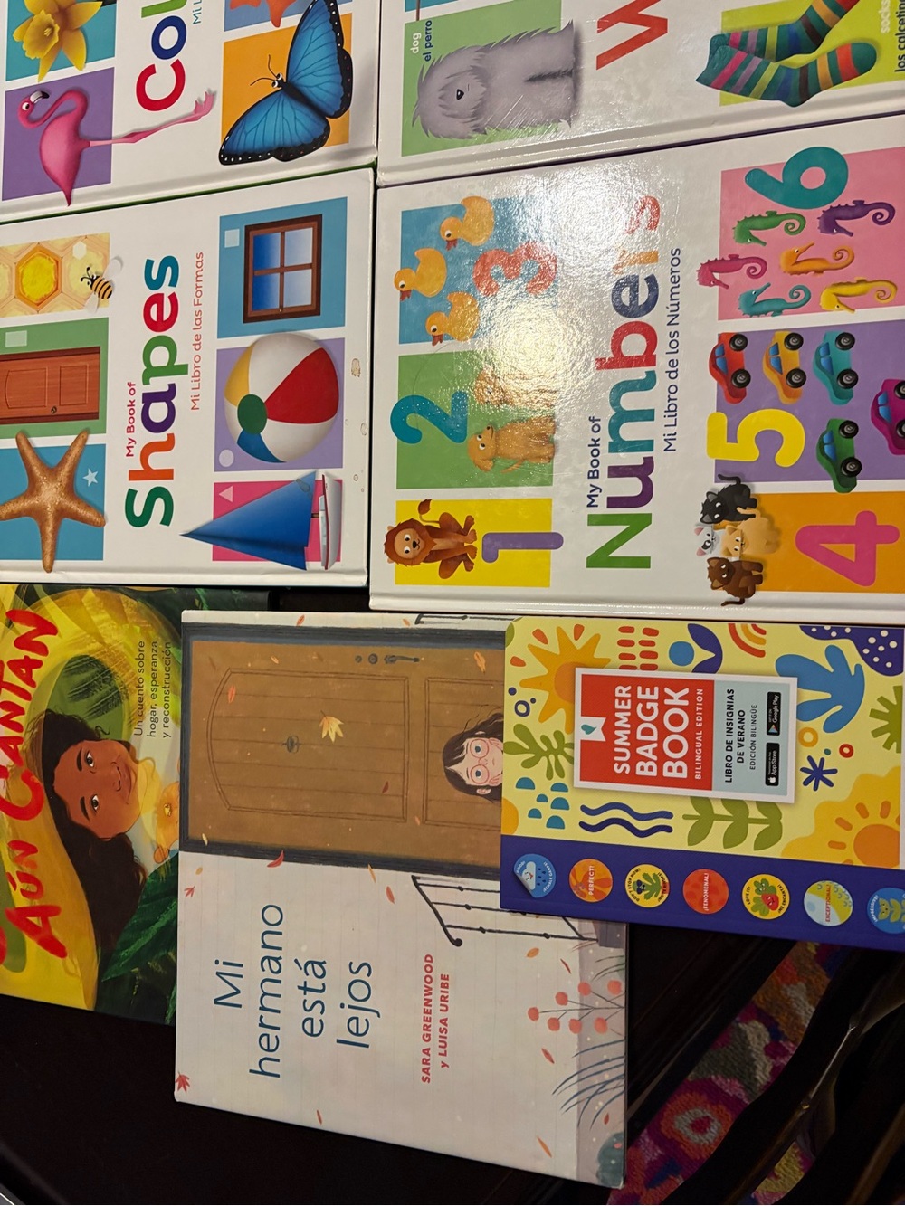 ESL Children’s Book lot, Spanish/English including Eric Carle, Various Others! - Picture 2 of 8